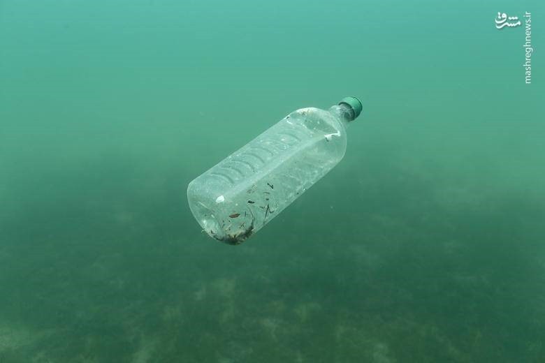 آلودگی ضایعات پلاستیک نایلون