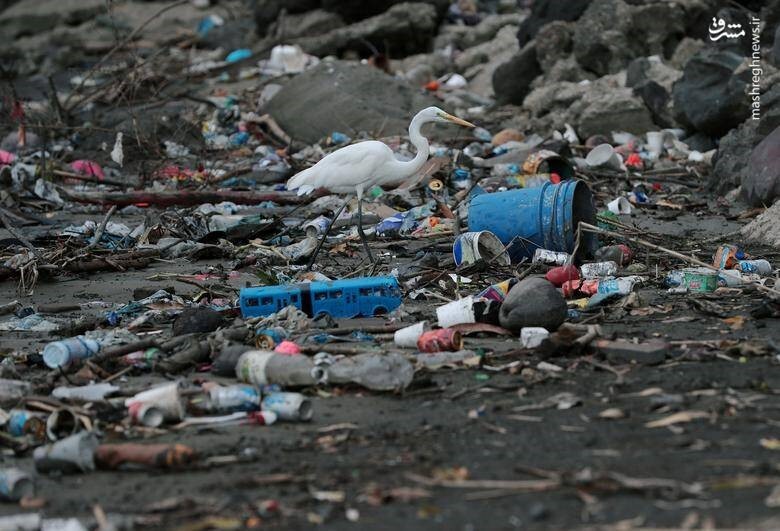 آلودگی ضایعات پلاستیک نایلون