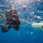 آلودگی پلاستیک اقیانوس ها
