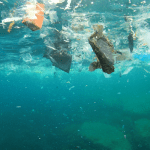 آلودگی اقیانوس ها حاصل از ضایعات پلاستیک