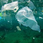 آلودگی حاصل از ضایعات پلاستیک در اقیانوس ها
