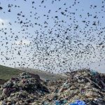 انتقال روزانه بیش از ۵۵۰۰ تن زباله به سایت دفع پسماند آرادکوه